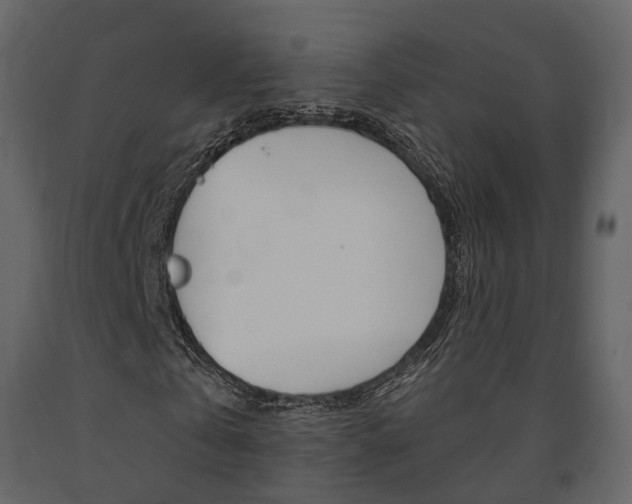 X0000091690769200708231130