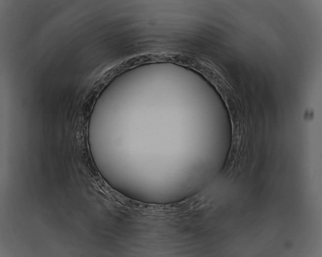 X0000091690773200708231130