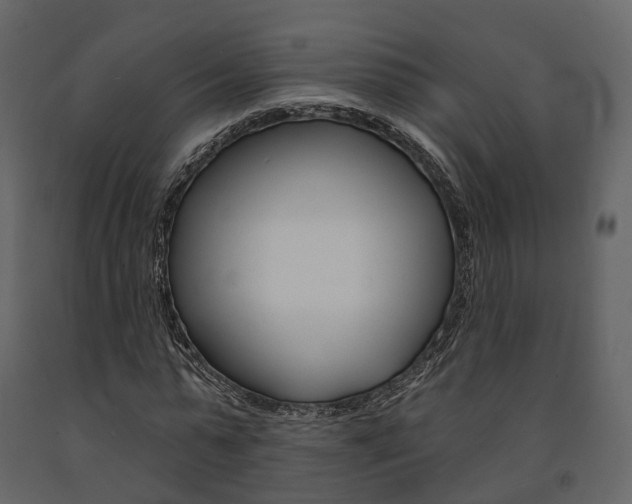 X0000091690775200708231130