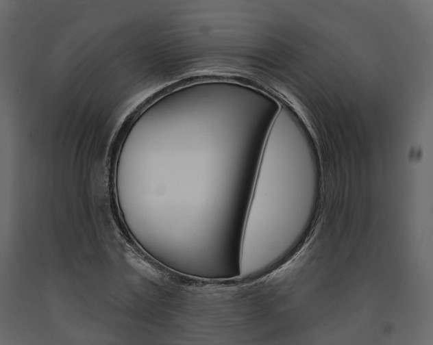 X0000091690779200708231129