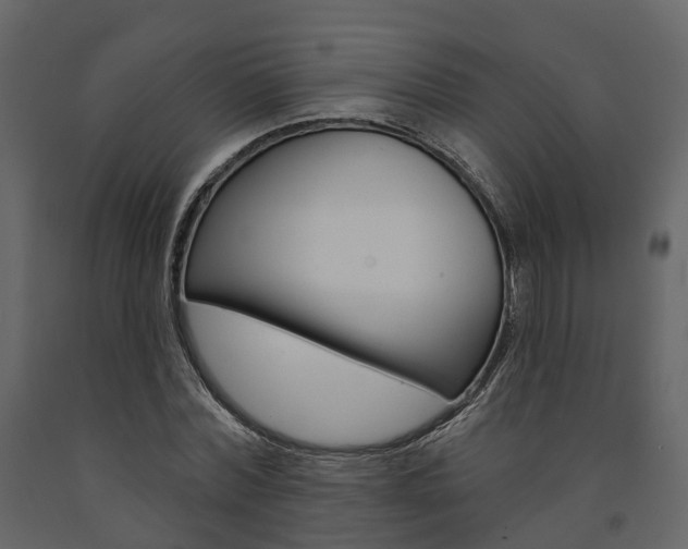 X0000091690780200708231129