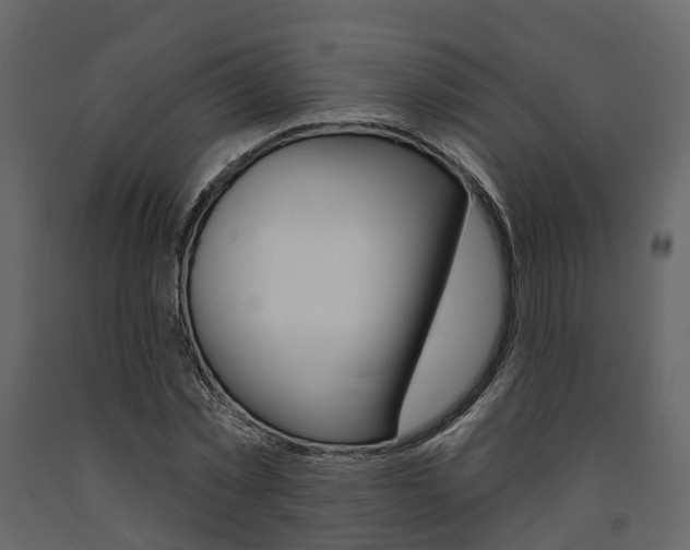 X0000091690781200708231129