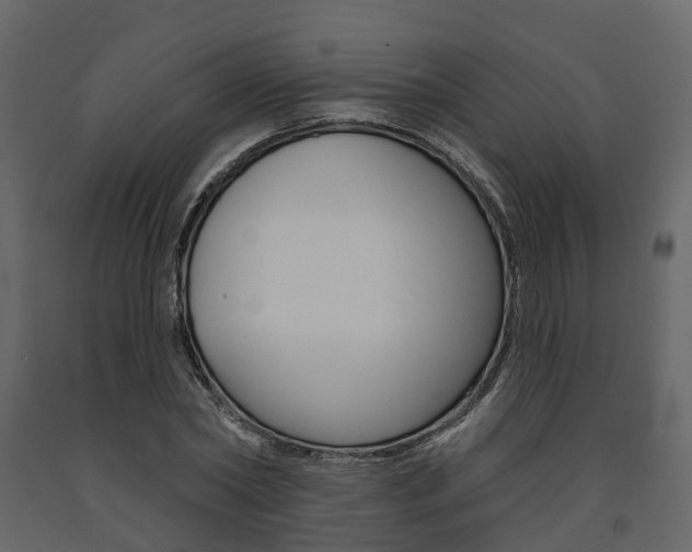X0000091690782200708231129
