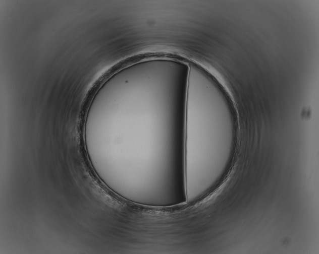 X0000091690783200708231129