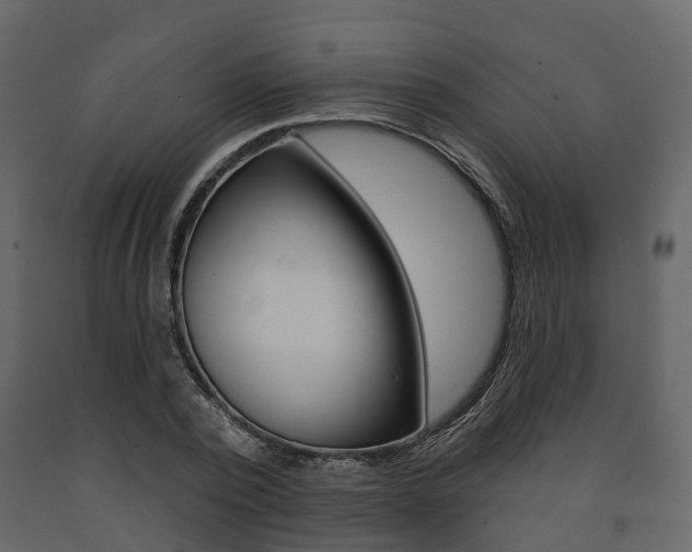 X0000091690784200708231129
