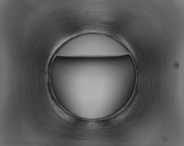 X0000091690787200708231129