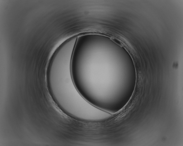 X0000091690788200708231129