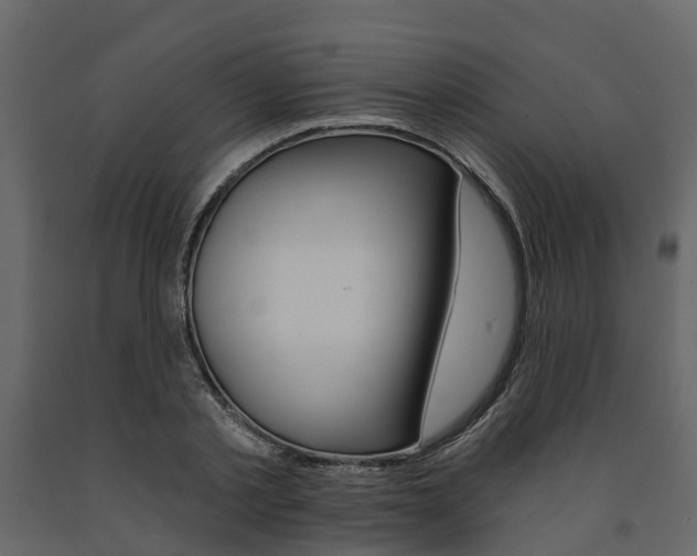 X0000091690789200708231129