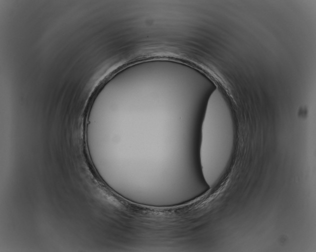 X0000091690790200708231129