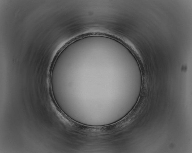 X0000091690791200708231129