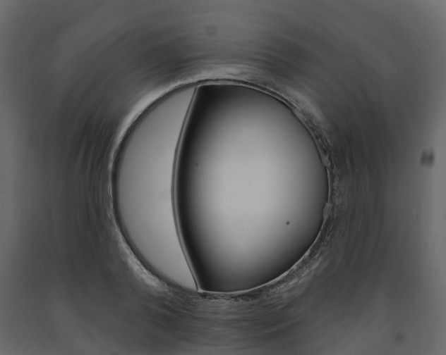 X0000091690792200708231129