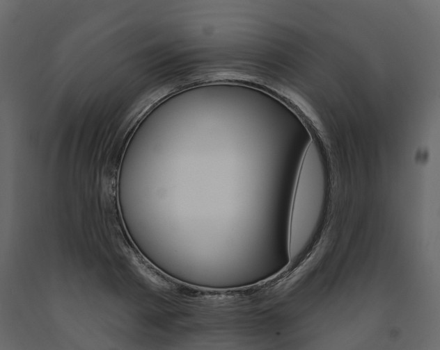 X0000091690793200708231129