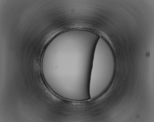 X0000091690794200708231129