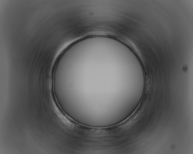 X0000091690795200708231129
