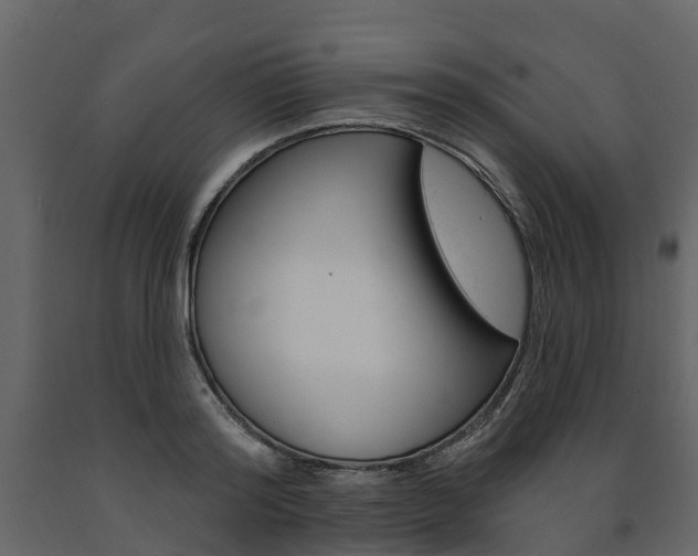 X0000091690796200708231129