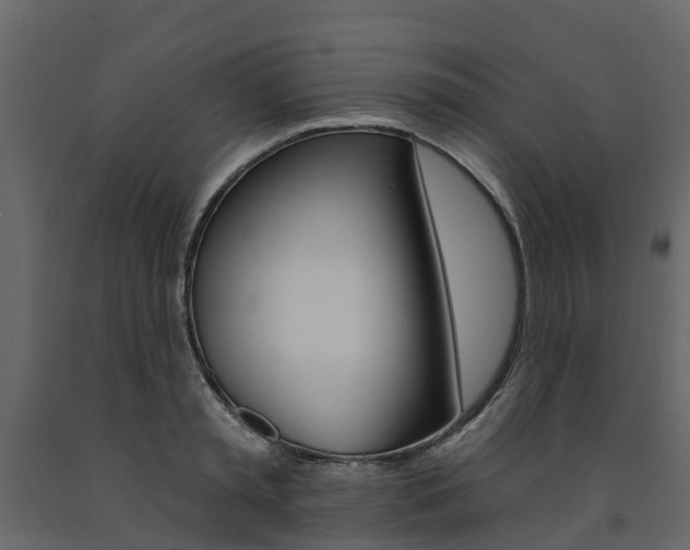 X0000091690797200708231129