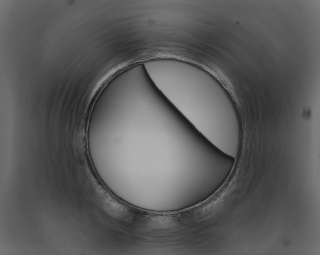 X0000091690798200708231129