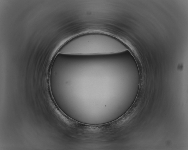 X0000091690799200708231129