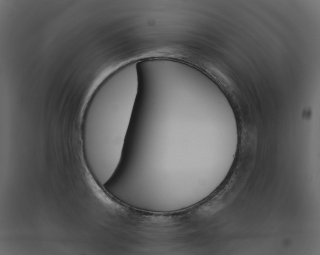 X0000091690800200708231129