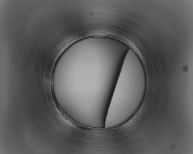 X0000091690802200708231129