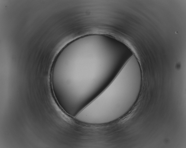 X0000091690803200708231129