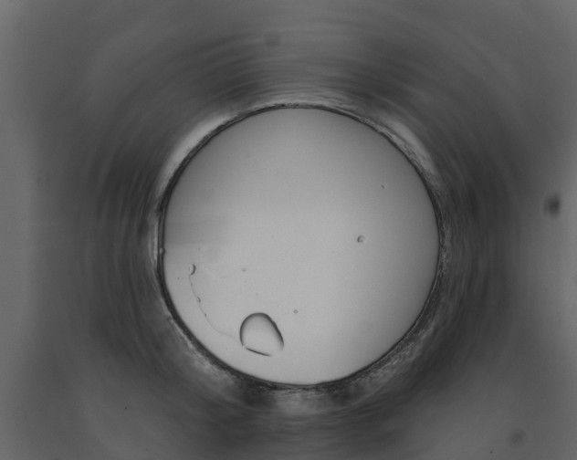 X0000091690804200708231129