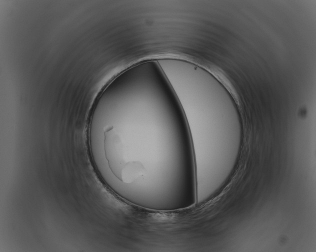 X0000091690805200708231129