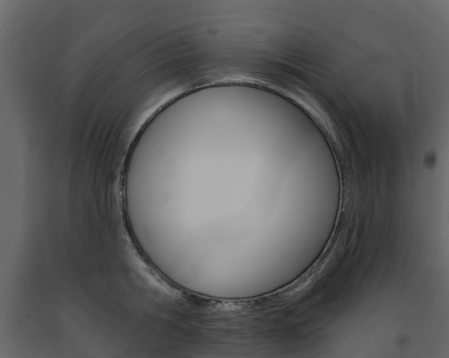 X0000091690806200708231129