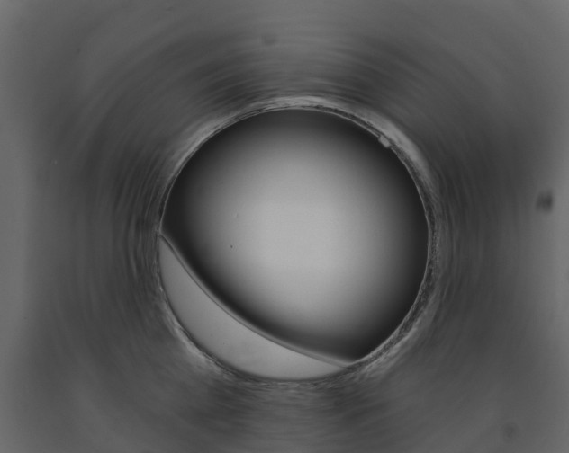 X0000091690809200708231129