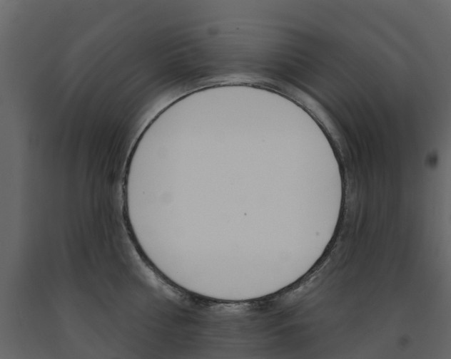 X0000091690810200708231129