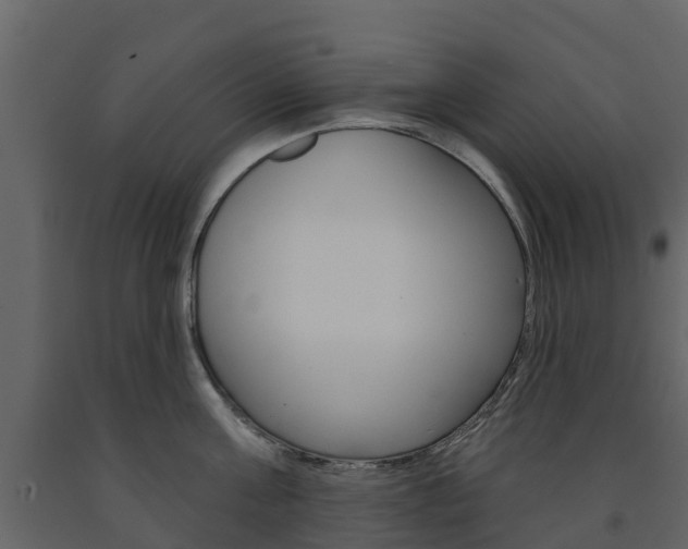 X0000091690811200708231129