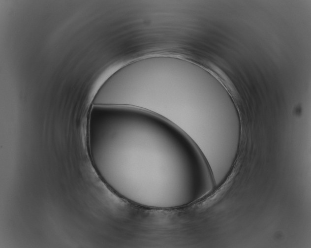 X0000091690812200708231129