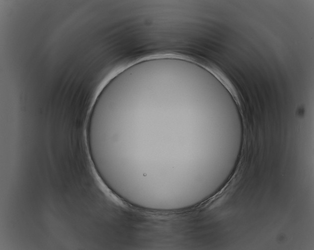 X0000091690813200708231129