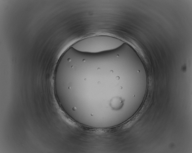 X0000091690814200708231129