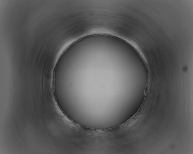 X0000091690815200708231129