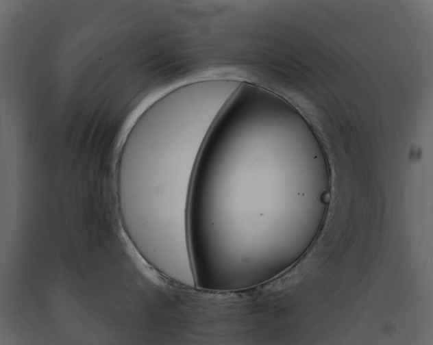 X0000091690816200708231129