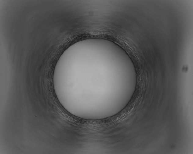 X0000091690817200708231128