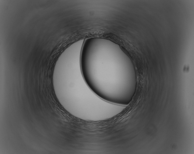 X0000091690818200708231128