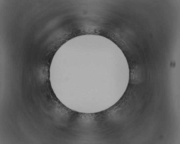 X0000091690820200708231128