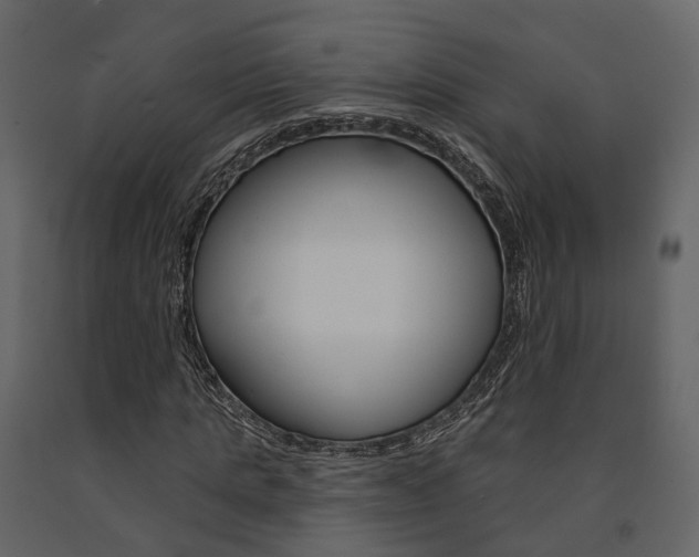 X0000091690821200708231128