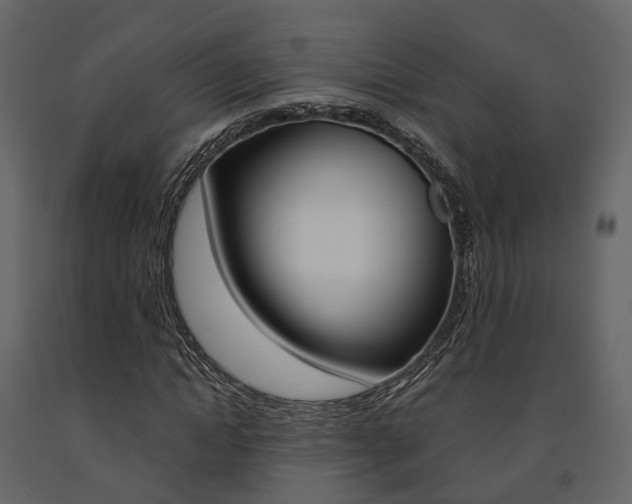 X0000091690822200708231128