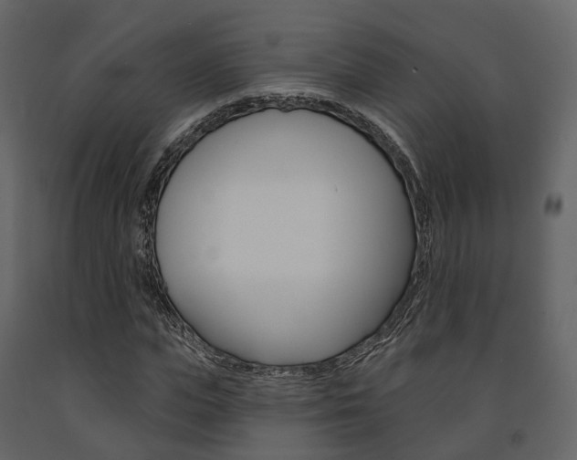 X0000091690823200708231128