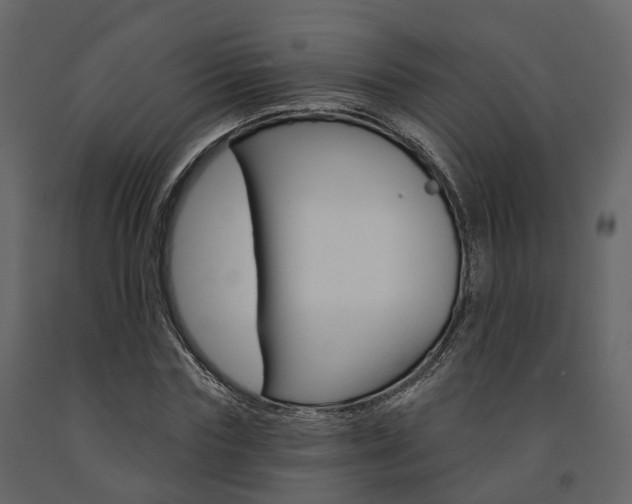 X0000091690827200708231128