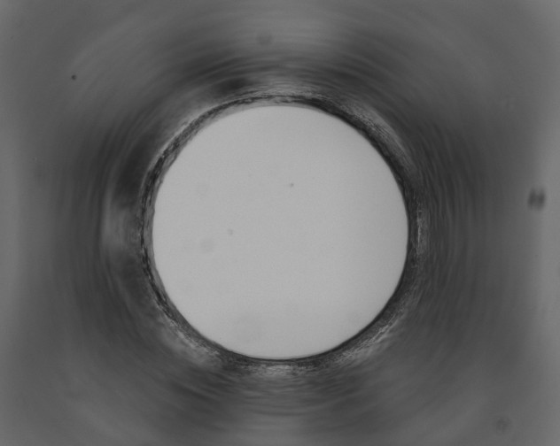 X0000091690828200708231128