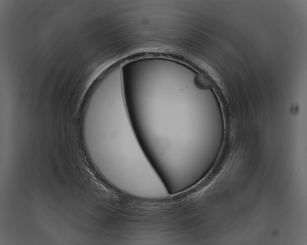 X0000091690829200708231128
