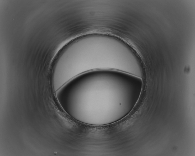 X0000091690830200708231128