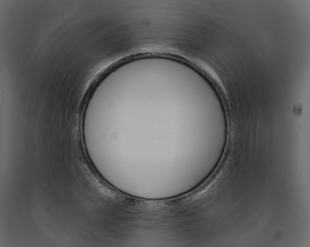 X0000091690831200708231128
