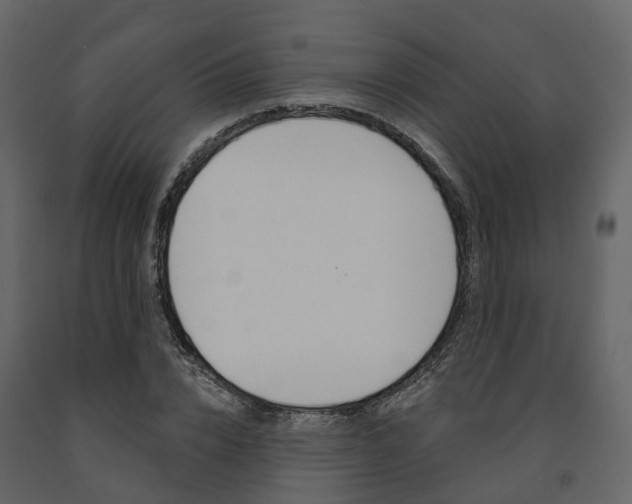 X0000091690832200708231128
