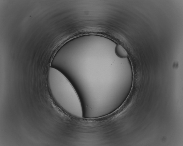 X0000091690833200708231128
