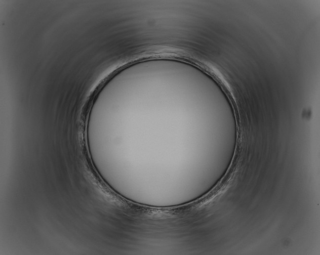 X0000091690835200708231129